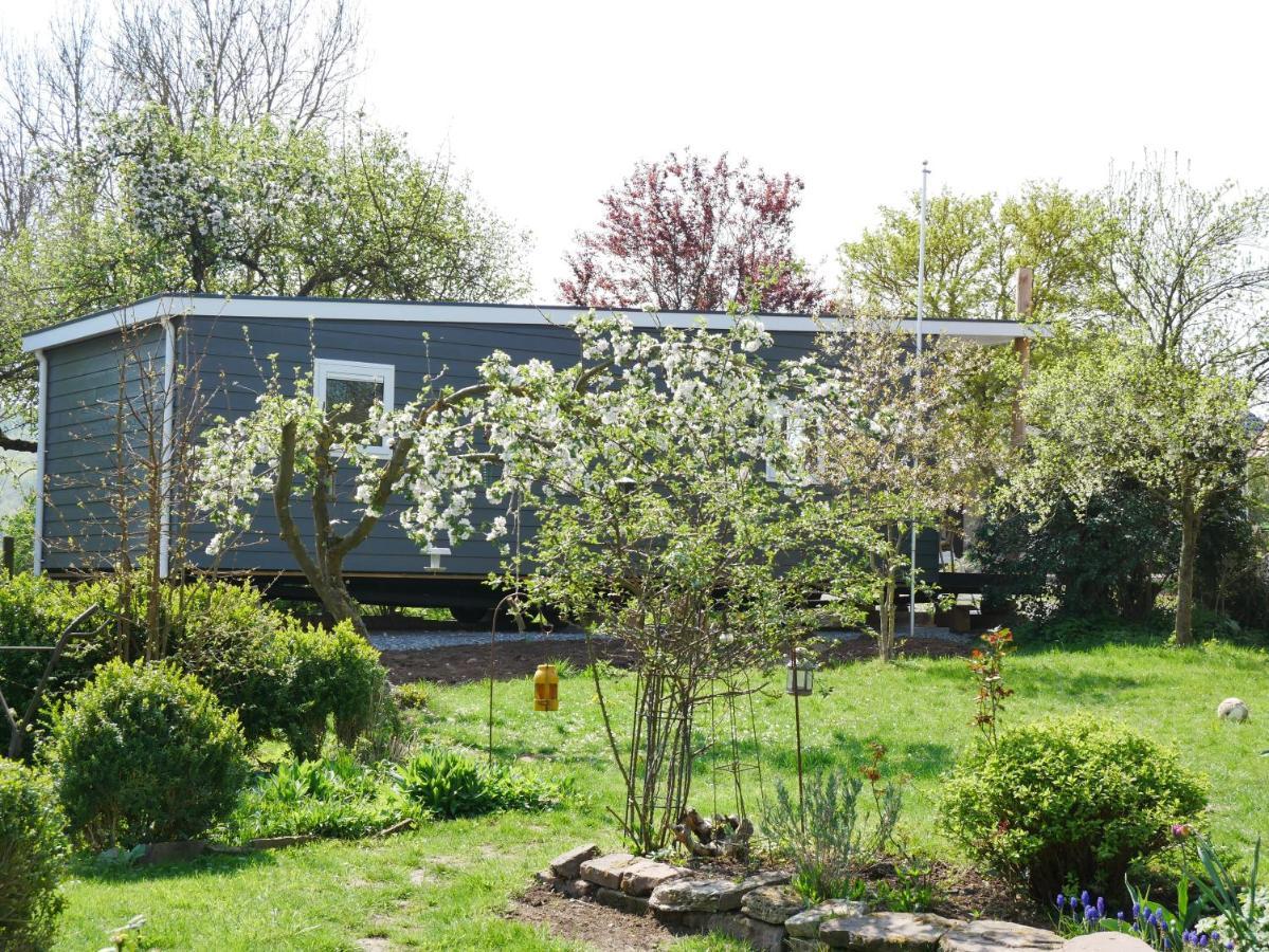 Tiny Ferienhaus Kelze Hofgeismar Exterior foto